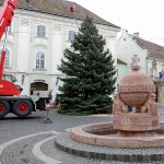 Megérkezett a város karácsonyfája